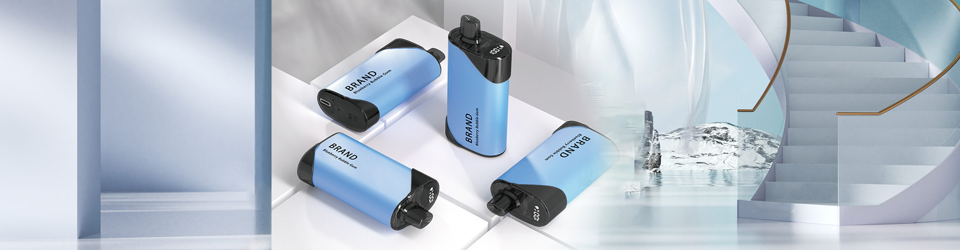 Customized disposable electronic cigarettes